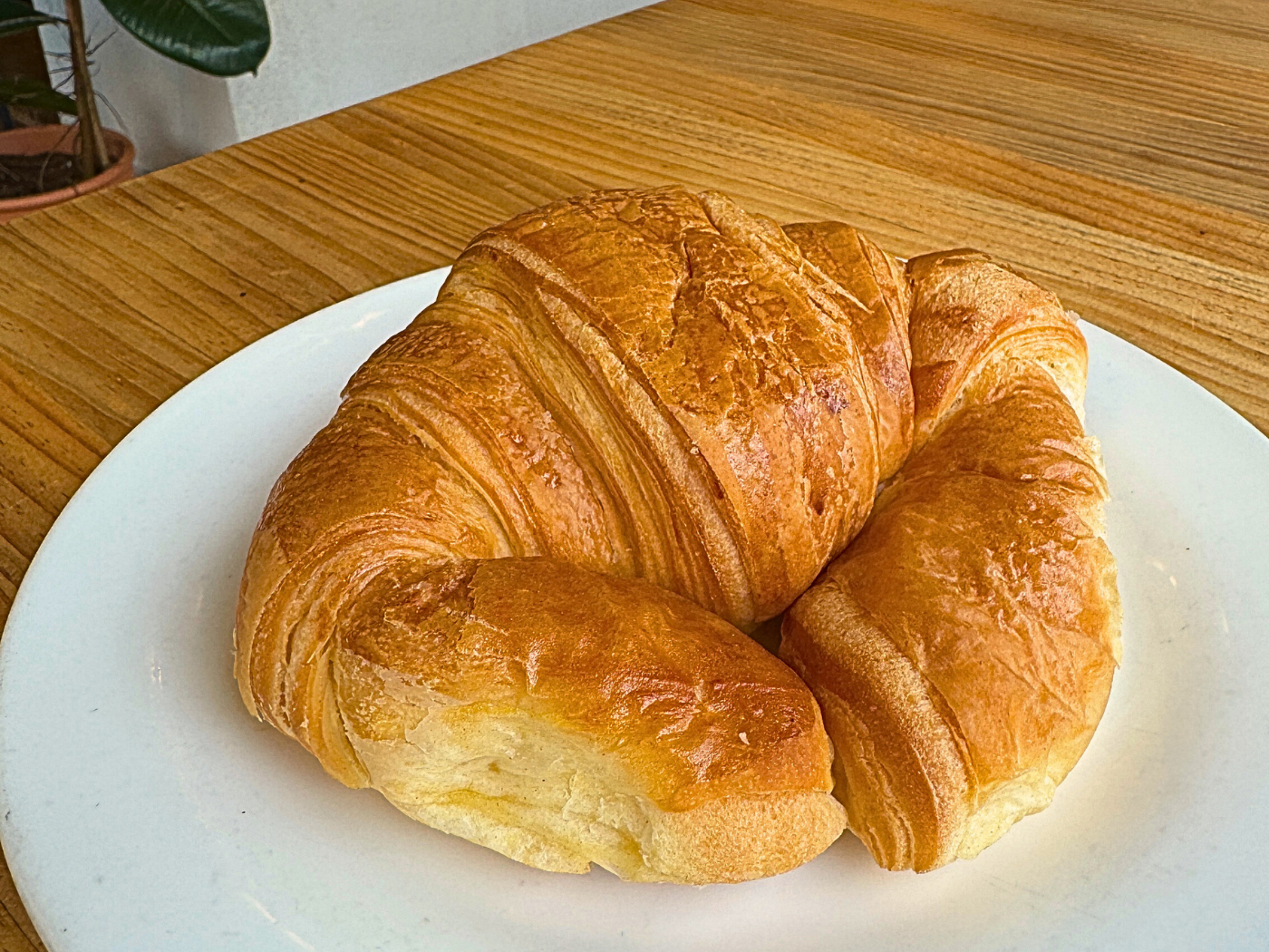 Saco_Cafe_cafe_especialidad_madrid