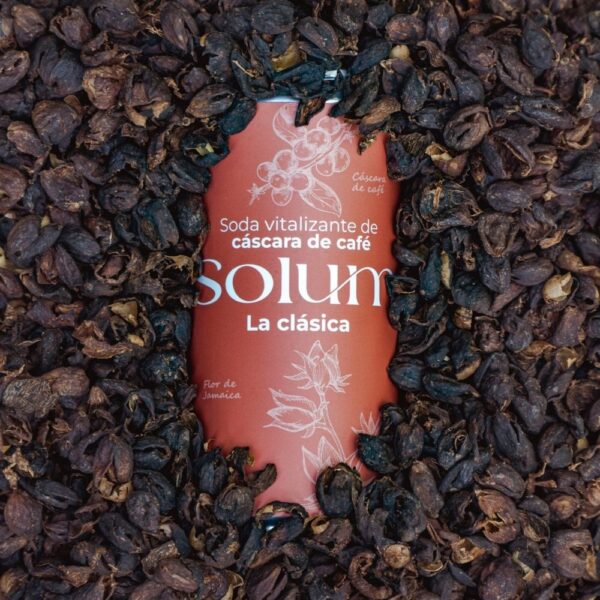 Solum